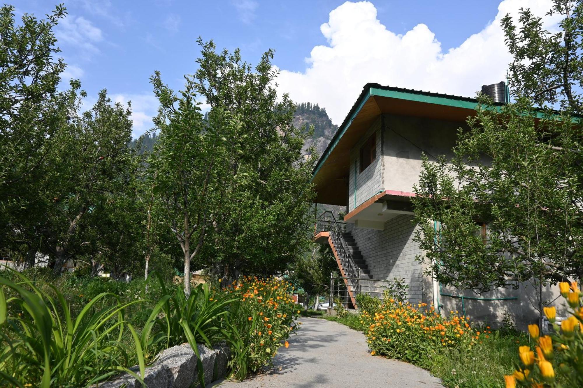 Bed and Breakfast Cascade Mountain Retreat Manali Exterior foto
