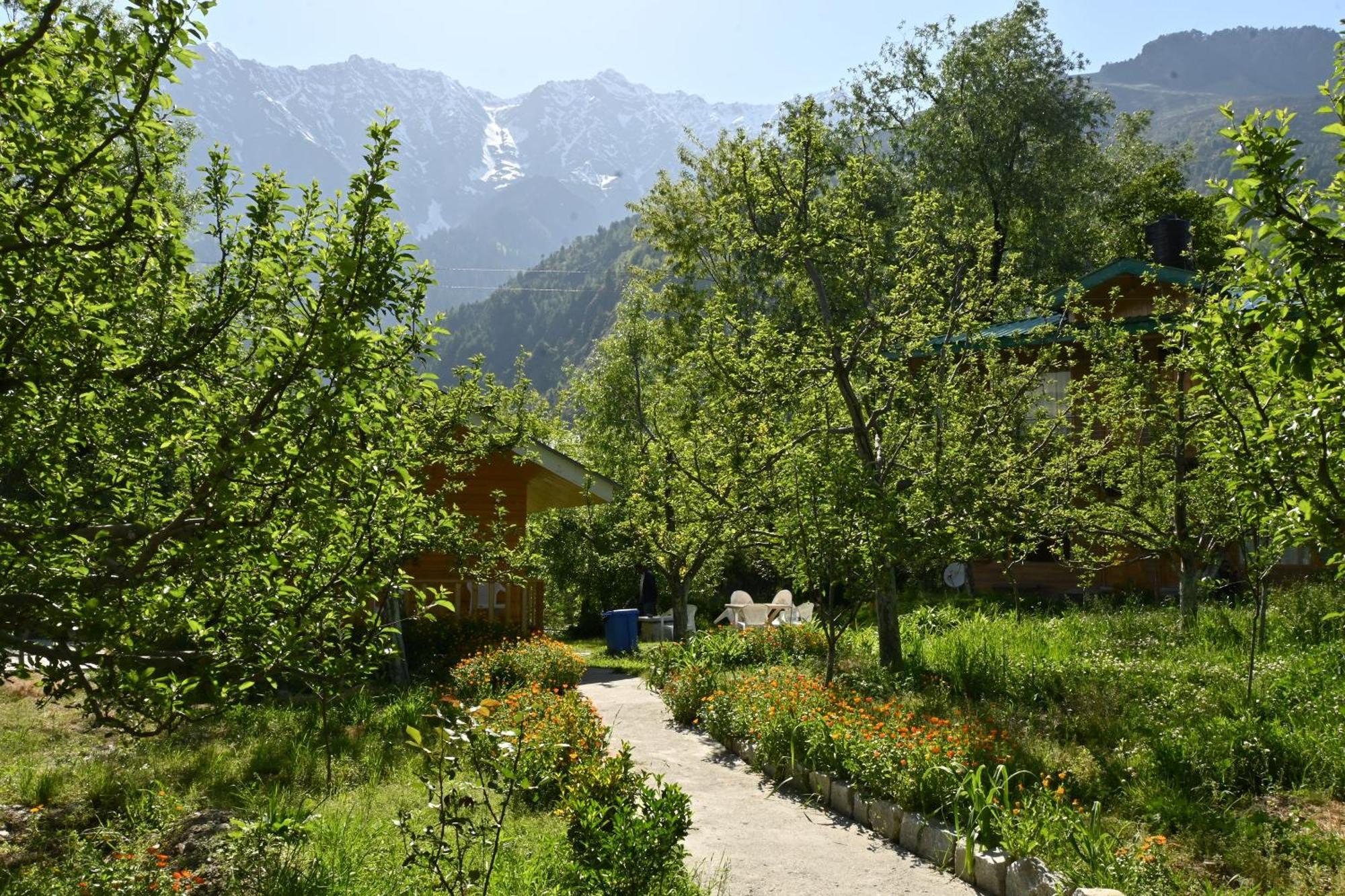 Bed and Breakfast Cascade Mountain Retreat Manali Exterior foto