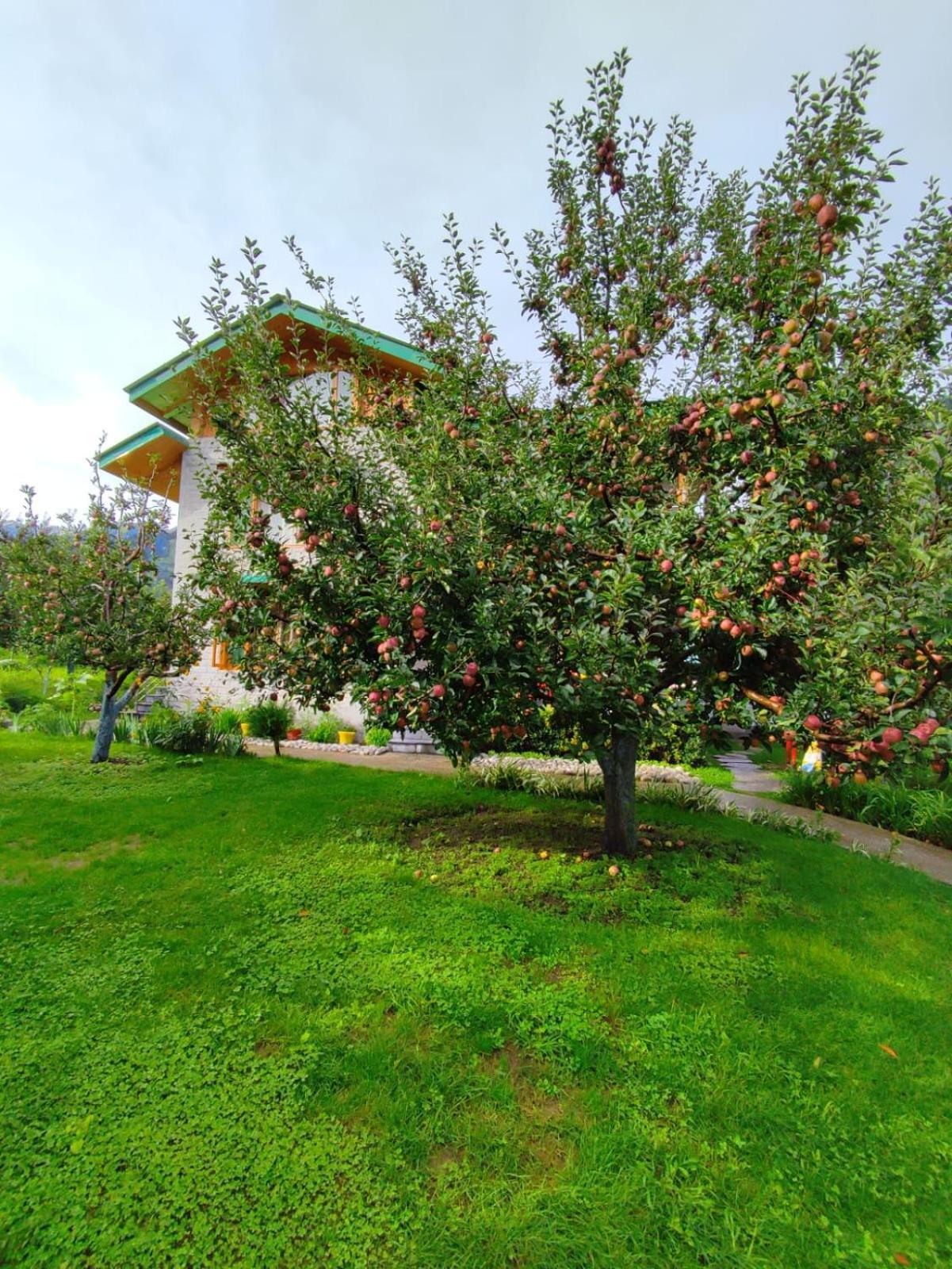 Bed and Breakfast Cascade Mountain Retreat Manali Exterior foto