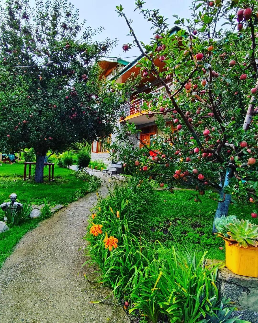 Bed and Breakfast Cascade Mountain Retreat Manali Exterior foto